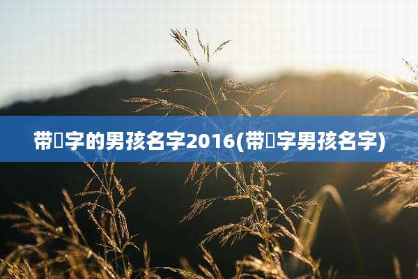 带堉字的男孩名字2016(带泇字男孩名字)