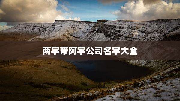 两字带阿字公司名字大全