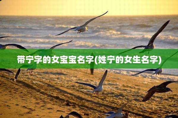 带宁字的女宝宝名字(姓宁的女生名字)