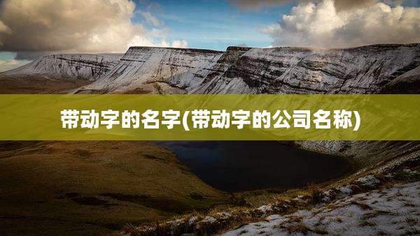 带动字的名字(带动字的公司名称)