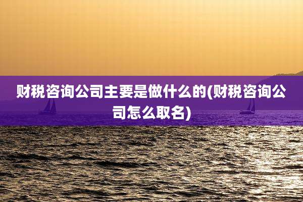财税咨询公司主要是做什么的(财税咨询公司怎么取名)