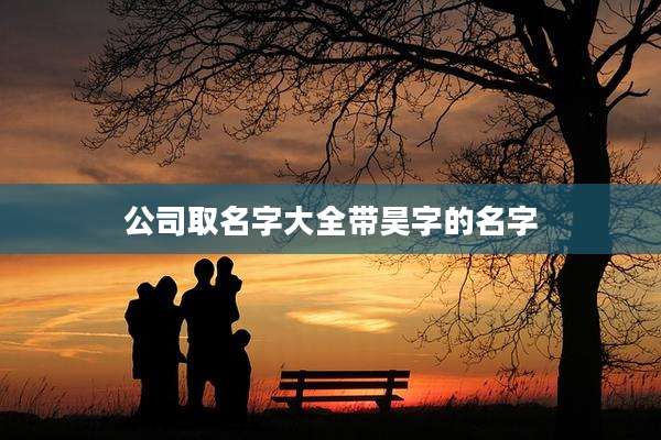 公司取名字大全带昊字的名字