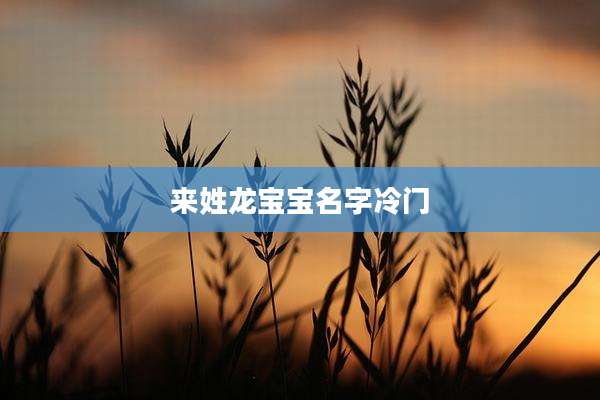 来姓龙宝宝名字冷门