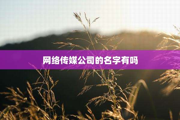 网络传媒公司的名字有吗