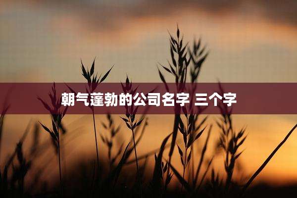 朝气蓬勃的公司名字 三个字