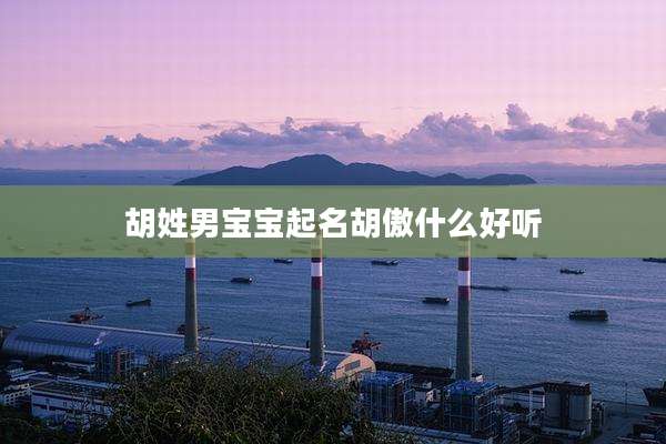 胡姓男宝宝起名胡傲什么好听