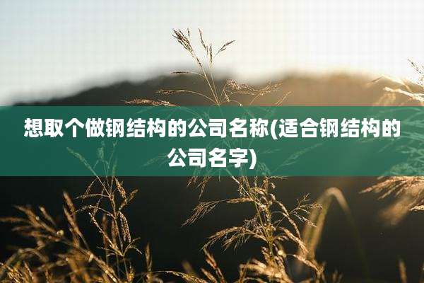 想取个做钢结构的公司名称(适合钢结构的公司名字)