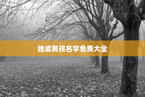 姓粱男孩名字免费大全