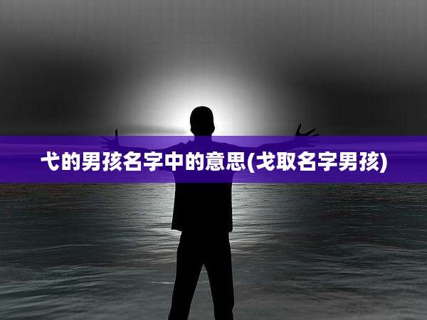 弋的男孩名字中的意思(戈取名字男孩)