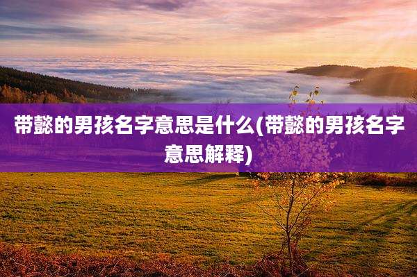 带懿的男孩名字意思是什么(带懿的男孩名字意思解释)
