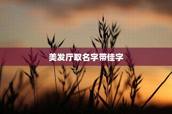 美发厅取名字带佳字
