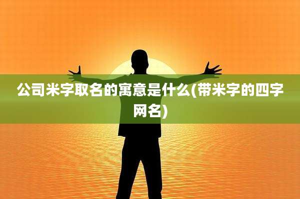 公司米字取名的寓意是什么(带米字的四字网名)