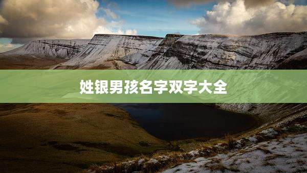 姓银男孩名字双字大全