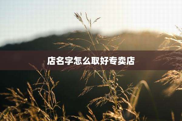 店名字怎么取好专卖店