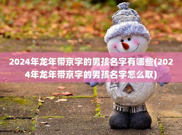 2024年龙年带京字的男孩名字有哪些(2024年龙年带京字的男孩名字怎么取)