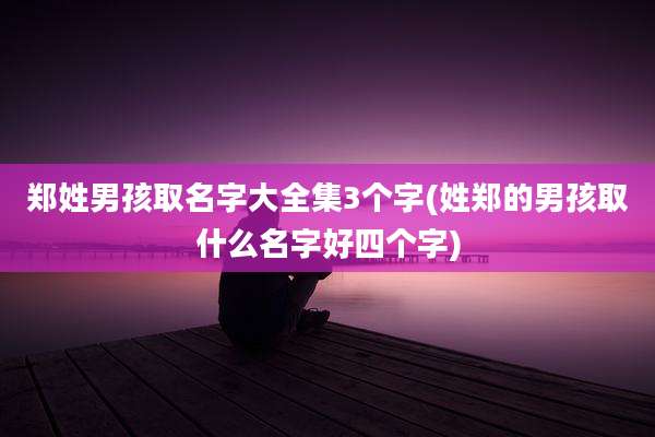 郑姓男孩取名字大全集3个字(姓郑的男孩取什么名字好四个字)