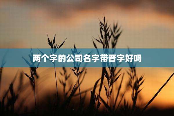 两个字的公司名字带晋字好吗