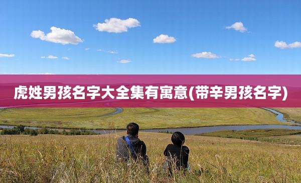 虎姓男孩名字大全集有寓意(带辛男孩名字)