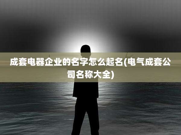 成套电器企业的名字怎么起名(电气成套公司名称大全)