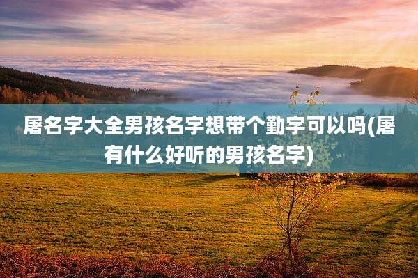 屠名字大全男孩名字想带个勤字可以吗(屠有什么好听的男孩名字)