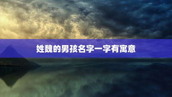 姓魏的男孩名字一字有寓意