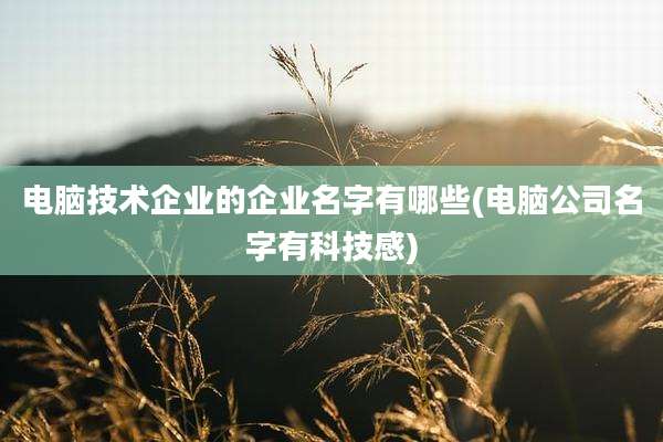 电脑技术企业的企业名字有哪些(电脑公司名字有科技感)