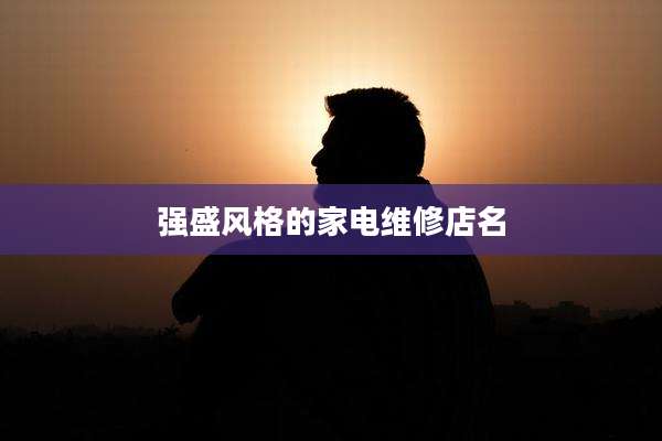强盛风格的家电维修店名