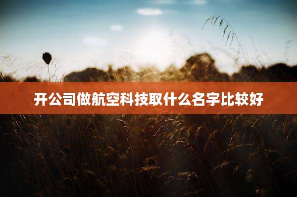 开公司做航空科技取什么名字比较好