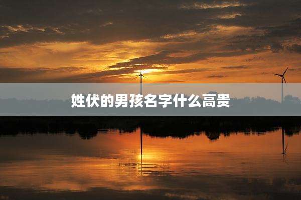姓伏的男孩名字什么高贵