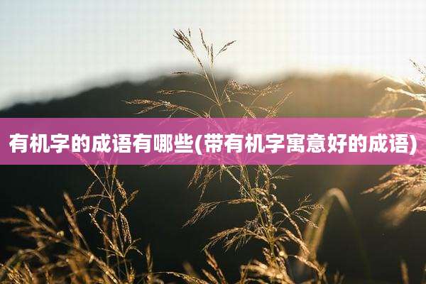 有机字的成语有哪些(带有机字寓意好的成语)