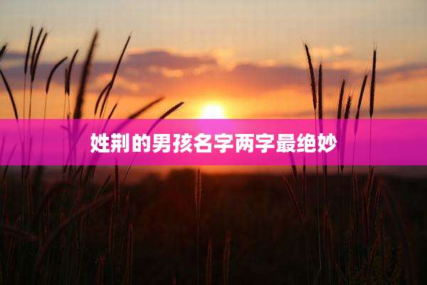 姓荆的男孩名字两字最绝妙