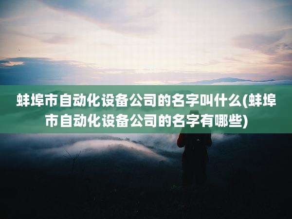 蚌埠市自动化设备公司的名字叫什么(蚌埠市自动化设备公司的名字有哪些)