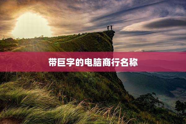 带巨字的电脑商行名称