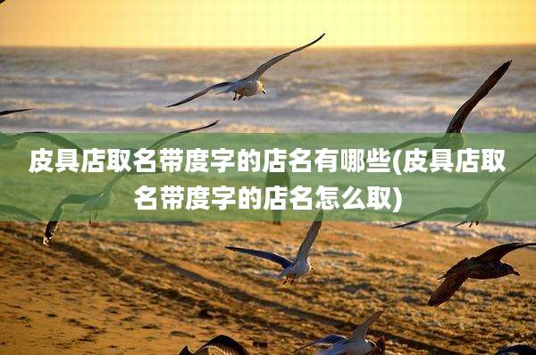 皮具店取名带度字的店名有哪些(皮具店取名带度字的店名怎么取)