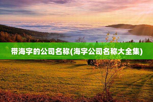 带海字的公司名称(海字公司名称大全集)