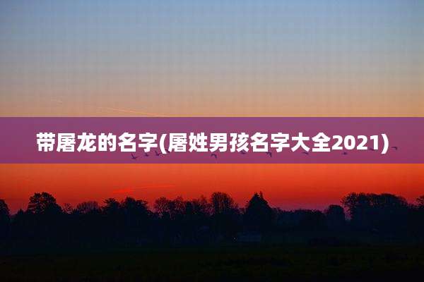 带屠龙的名字(屠姓男孩名字大全2021)