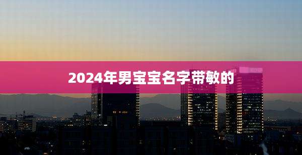 2024年男宝宝名字带敏的