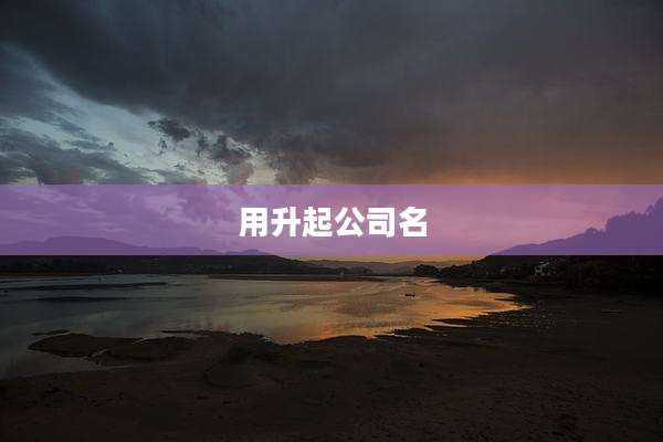 用升起公司名