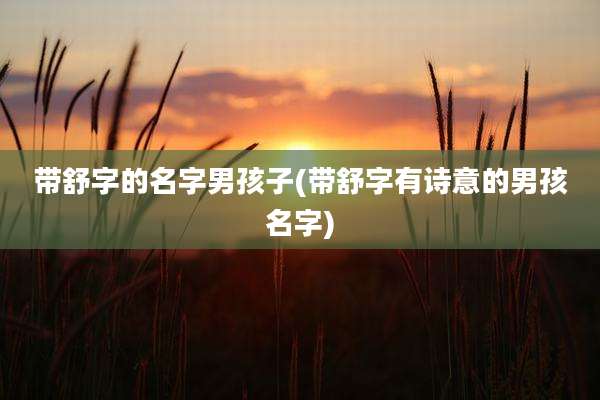 带舒字的名字男孩子(带舒字有诗意的男孩名字)