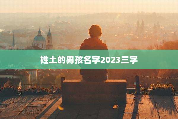 姓土的男孩名字2023三字