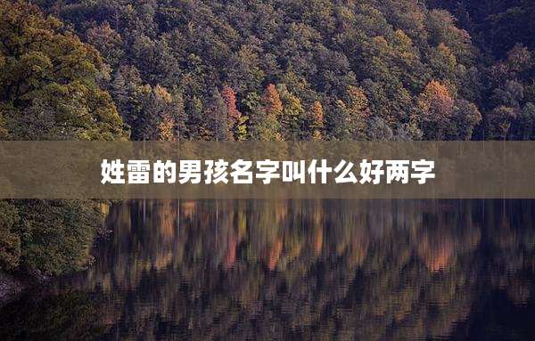 姓雷的男孩名字叫什么好两字