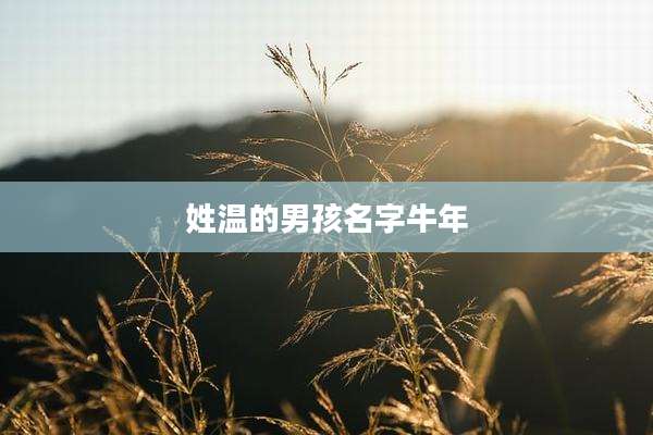姓温的男孩名字牛年