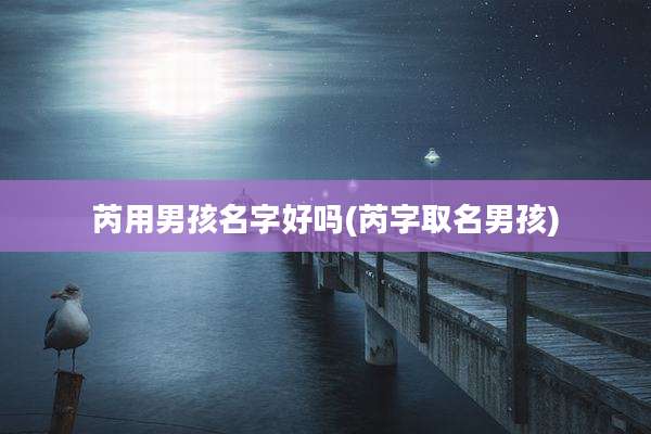 芮用男孩名字好吗(芮字取名男孩)
