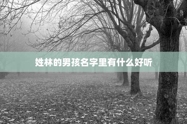 姓林的男孩名字里有什么好听