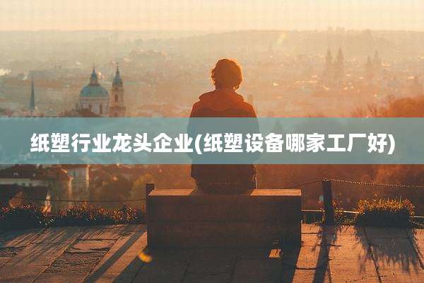 纸塑行业龙头企业(纸塑设备哪家工厂好)