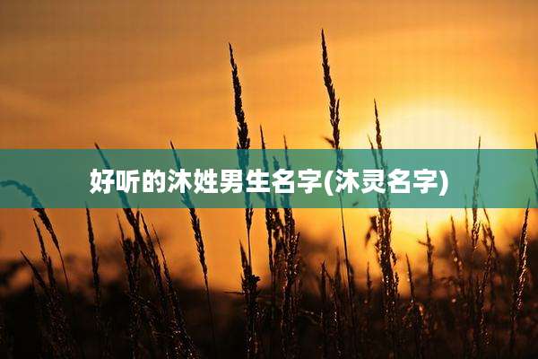好听的沐姓男生名字(沐灵名字)