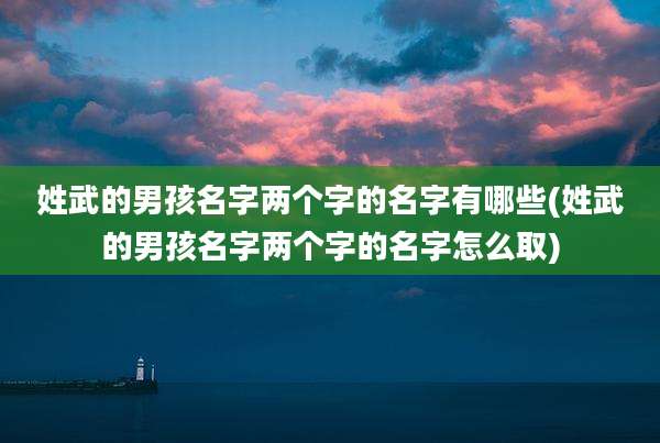 姓武的男孩名字两个字的名字有哪些(姓武的男孩名字两个字的名字怎么取)