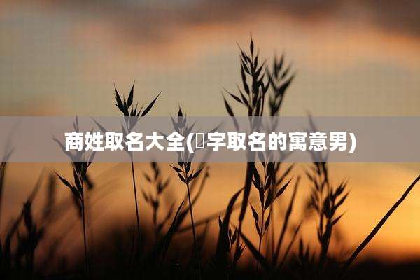 商姓取名大全(瑄字取名的寓意男)