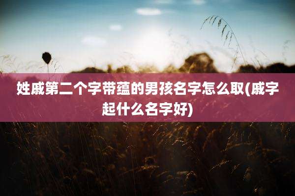 姓戚第二个字带蕴的男孩名字怎么取(戚字起什么名字好)