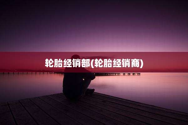 轮胎经销部(轮胎经销商)